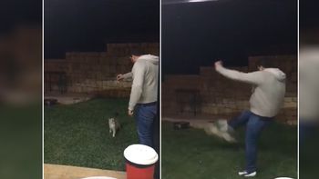 La tremenda patada a un gato que indigna a toda España La tremenda patada a un gato que indigna a toda España