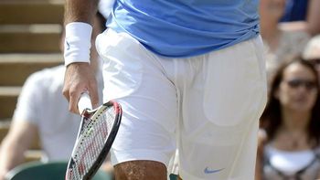 del potro no jugara la copa davis en todo el 2013 del potro no jugara la copa davis en todo el 2013