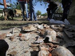macabro: encuentran restos de ataudes y huesos en una calle de santa fe macabro: encuentran restos de ataudes y huesos en una calle de santa fe