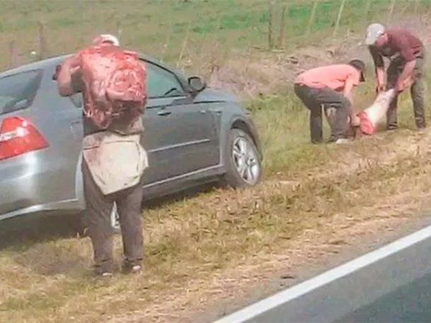 Chacabuco: volcó un camión que transportaba vacas y los vecinos las faenaron en la ruta 