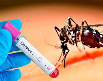 El Dengue es la enfermedad que trasmite el mosquito Aedes Aegypti