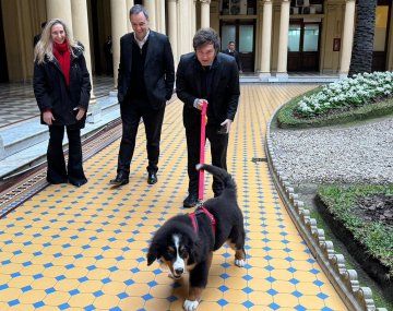 Javier Milei habló con el perro Thor en medio de su discurso en el Foro Económico Mundial