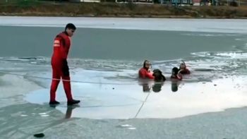 el increible rescate de dos perros que cayeron en aguas congeladas el increible rescate de dos perros que cayeron en aguas congeladas