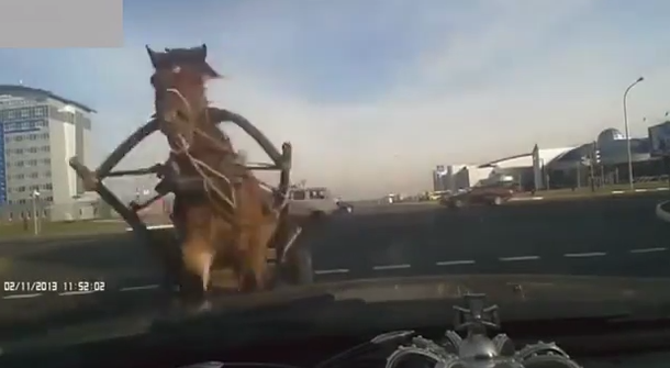 VIDEO: Esperaba que cortara el semáforo y se le vino un caballo encima