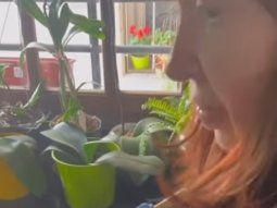 El video de Cristina cocinando en su casa de San José 1111: ¿Te hacés vos el huevo revuelto? 