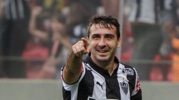 El Oso tendría destino paulista El Oso tendría destino paulista