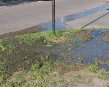 Foto: El Día de La Plata