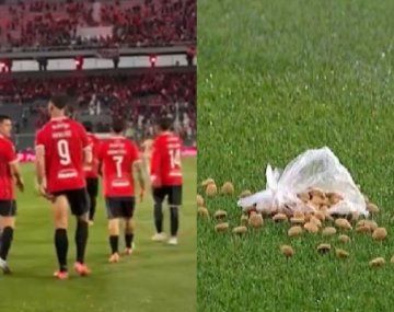 Hinchas de Independiente lanzaron comida para perros a los jugadores en el duelo con Platense
