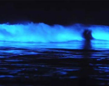 El increíble fenómeno que sorprendió a todos en Mar del Plata