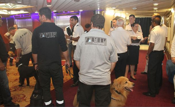 Droga en el crucero: AFIP advirtió a EE.UU. por el hallazgo en el Royal Caribbean