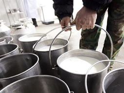 despues del frutazo, los productores regalaran leche en plaza de mayo despues del frutazo, los productores regalaran leche en plaza de mayo