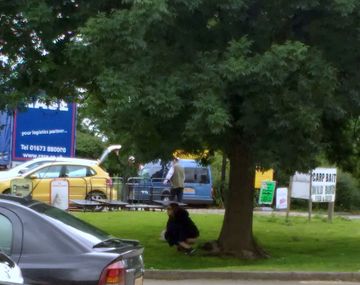 Escrachan a una mujer que hace lo segundo