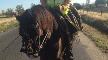 de espana a alemania a caballo para conseguir trabajo de espana a alemania a caballo para conseguir trabajo