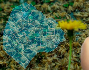 Primavera: ¿cómo evitar las zonas más peligrosas para las alergias?