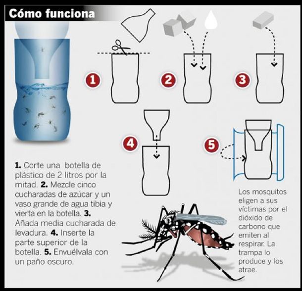 El método casero contra el dengue que se volvió viral