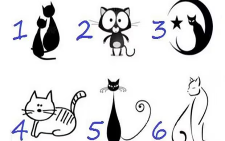 El gato que elijas revela información sobre tu forma de ser
