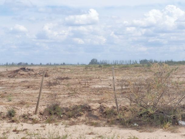 Gentileza Diario Uno