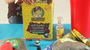 escucha la insolita defensa del creador del kit para sembrar marihuana ante feinmann escucha la insolita defensa del creador del kit para sembrar marihuana ante feinmann