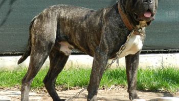 Imagen ilustrativa Imagen ilustrativa