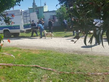 Asesinan a golpes a una joven en su casa