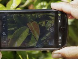 apple y samsung llegan a los tribunales por los smartphones apple y samsung llegan a los tribunales por los smartphones