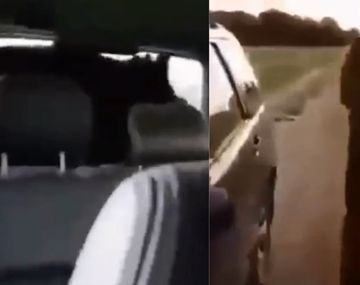 Cazaron a un jabalí que se les despertó adentro del auto