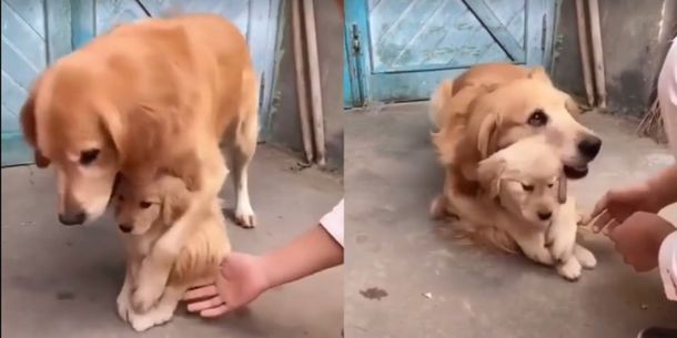 La imágen recorrió el mundo a través de las redes sociales