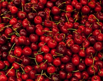 Récord: exportan 1.500 toneladas de cerezas patagónicas