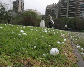 Rige un alerta por tormentas fuertes y posible caída de granizo en la Ciudad