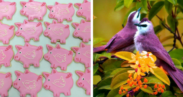 Las tradiciones más extrañas del Día de los Enamorados