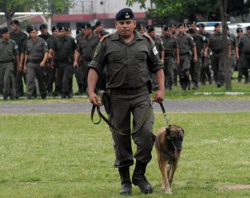 Agradecen el envío de gendarmes