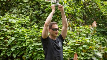 microsoft ahora va por los mosquitos microsoft ahora va por los mosquitos