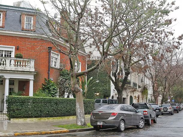 Los barrios de la Ciudad de Buenos Aires que dejan más plata con el alquiler.