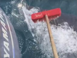 Un pescador tiene que ahuyentar a un tiburón con una escoba