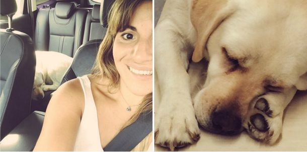 El dolor y la furia de Gianinna Maradona porque atropellaron y mataron a su perra