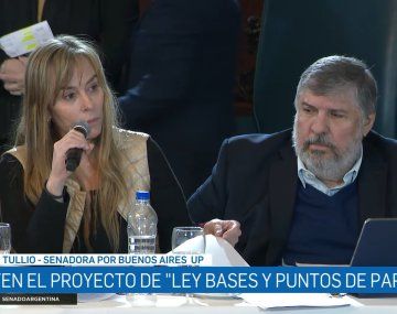 Di Tullio dejó al descubierto las inconsistencias de la Ley Bases: Pelito pa la vieja