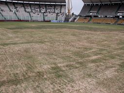 asi esta el cesped del estadio kempes a 10 dias del partido de argentina asi esta el cesped del estadio kempes a 10 dias del partido de argentina