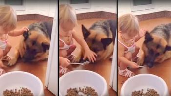 una nena le da de comer en la boca con cuchara a su perro una nena le da de comer en la boca con cuchara a su perro