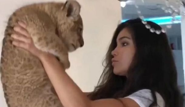 Quiso imitar una escena de El rey león pero le salió mal