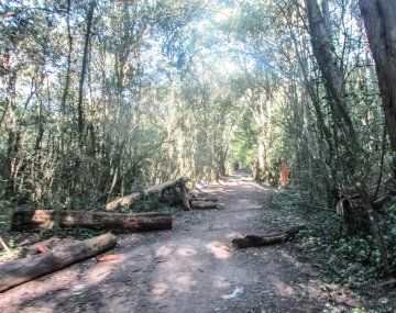 Parque Pereyra Iraola: le dispararon a una ciclista para robarle la bicicleta