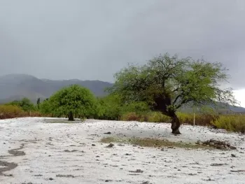 Tormenta de granizo cubrió de blanco ciudad tucumana