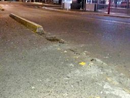 Dos jóvenes arrancaron los cordones de una bicisenda en Bahía Blanca Dos jóvenes arrancaron los cordones de una bicisenda en Bahía Blanca