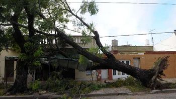 Temporal en Buenos Aires (Télam) Temporal en Buenos Aires (Télam)