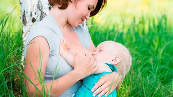 dar mas el pecho puede salvar a 800.000 bebes por ano dar mas el pecho puede salvar a 800.000 bebes por ano