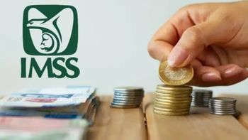 IMSS lanza aviso urgente sobre la herencia de las pensiones: estos mexicanos no pueden recibir dinero por orfandad IMSS lanza aviso urgente sobre la herencia de las pensiones: estos mexicanos no pueden recibir dinero por orfandad