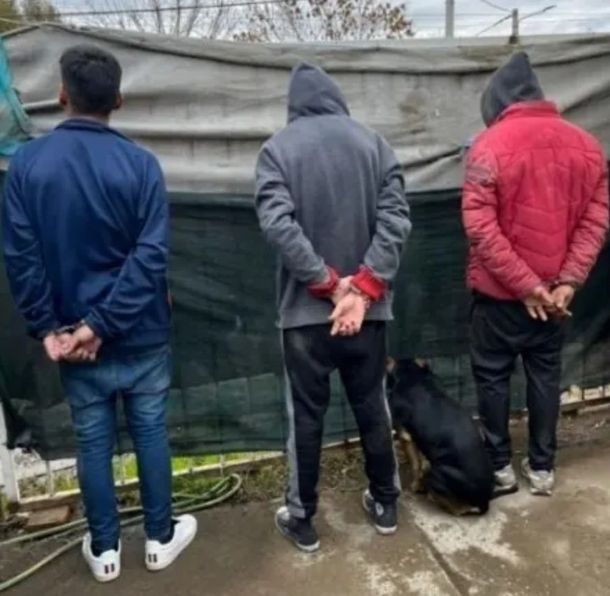 Insólito: detuvieron a una banda narco en Neuquén y su perro se dio por arrestado