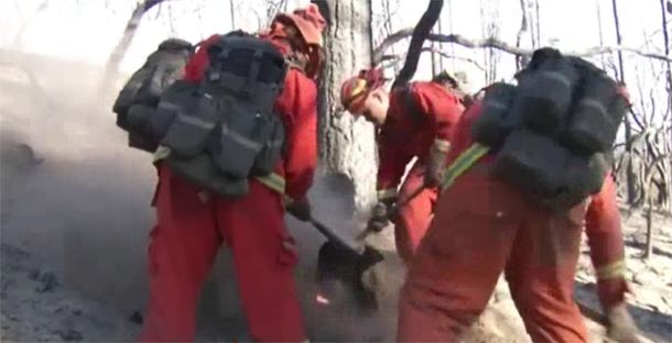 VIDEO: Un grupo de presos ayuda a apagar los incendios en California