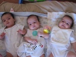 Bebes