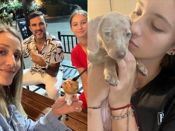 Mica Viciconte mostró el perro que Nicole Neumann no quería devolverle a su hija