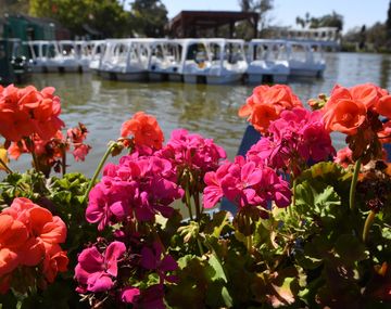 Este año el equinoccio de primavera será el 22 de septiembre.
